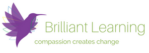 Institute for Brilliant Learning